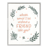 A Friend like you